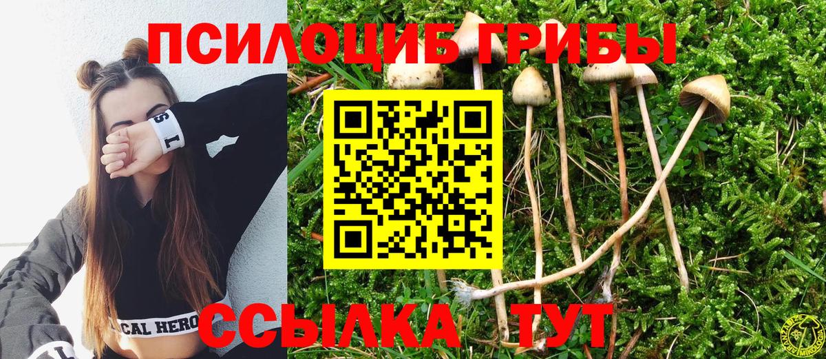 Клинцы  Галлюциногенные грибы мицелий  продажа наркотиков  Вход с VPN 